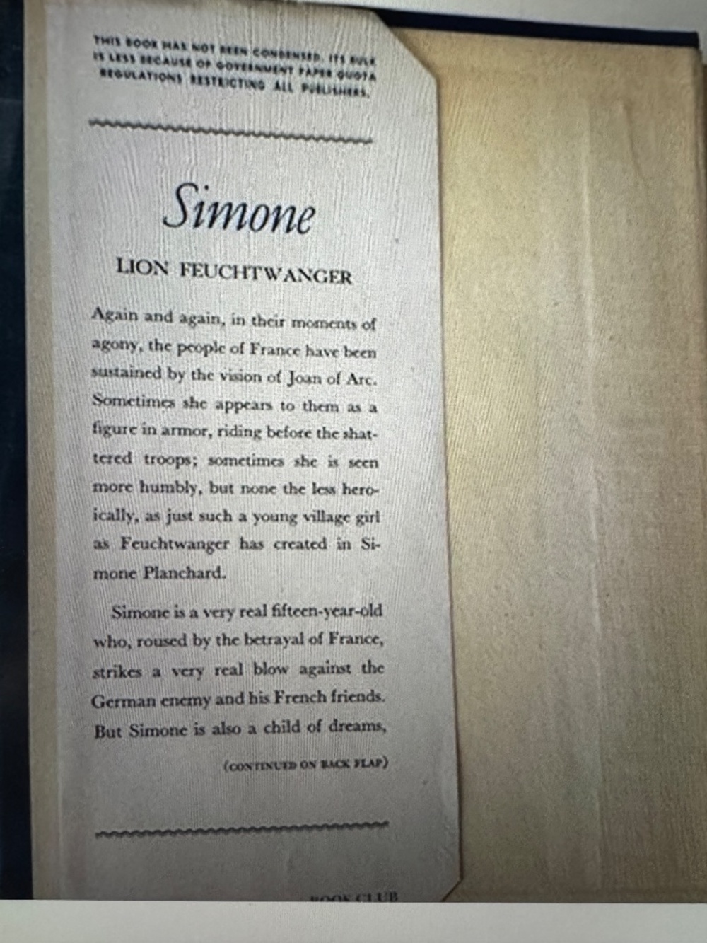 Simone / A Novel of Modern France - Picture 2 of 9